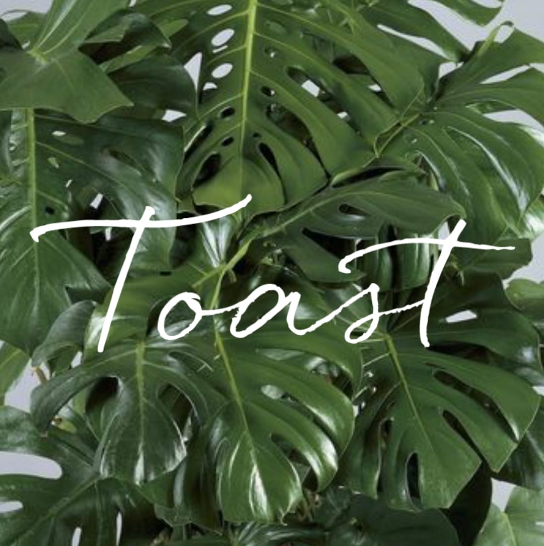 Toast Cafe logo